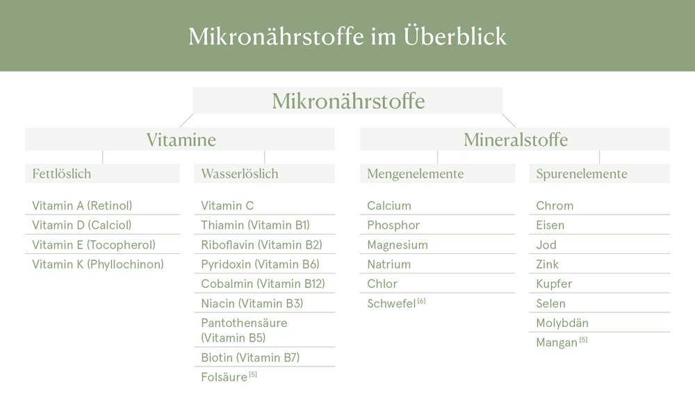 Mikronährstoffe Erklärung Nutzen Synergieeffekte mit CBD